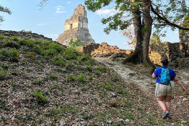 Tikal SUNSET, Archeological focus and Wildlife Spotting Tour (South and East)