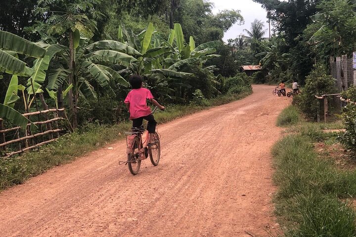Afternoon tour by tuk tuk to bamboo train,bat cave,killing cave,countryside.