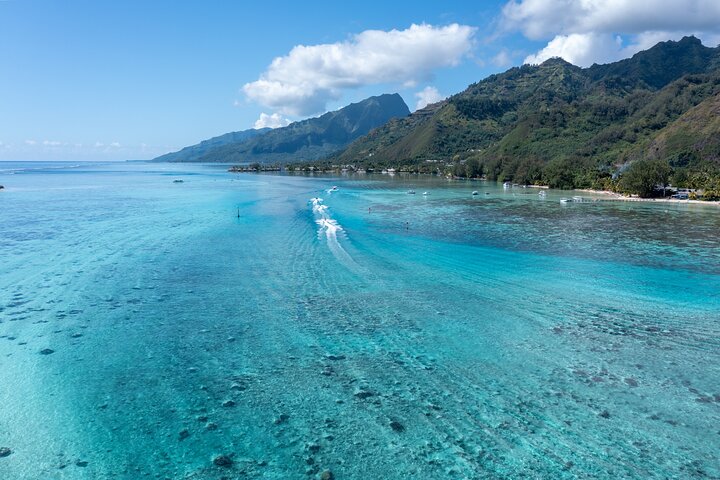 Snorkeling excursion and encounter with marine fauna in Moorea
