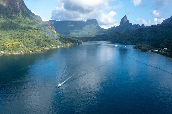 Snorkeling excursion and encounter with marine fauna in Moorea