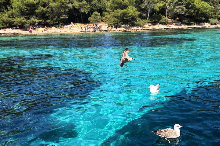 Private Luxury Boat Tour from Cannes to the Lerins Islands