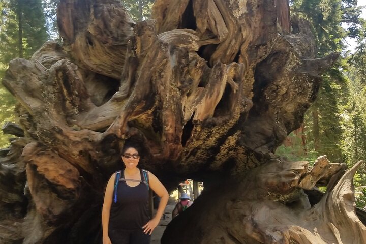 Day Tour to Kings Canyon National Park