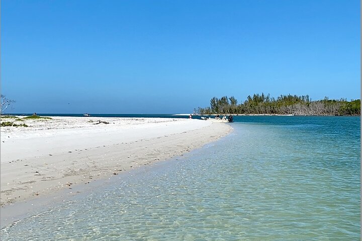 Private Shelling and Dolphin Excursion