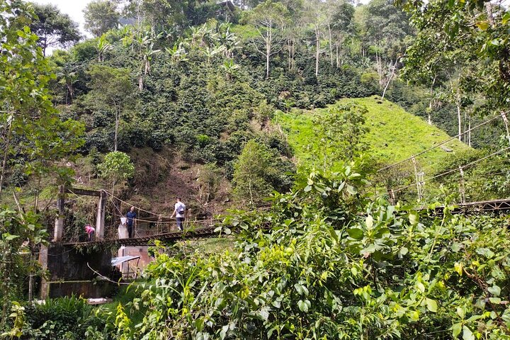 Excursion to La Plata waterfall in Ibagué (490 meters the highest in Tolima)
