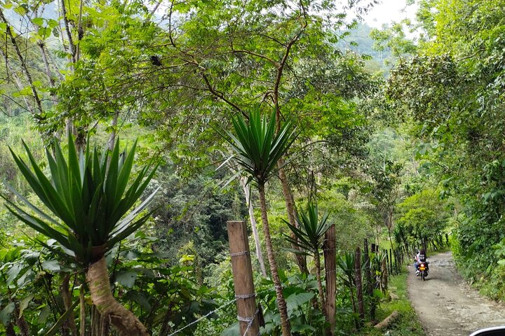 Excursion to La Plata waterfall in Ibagué (490 meters the highest in Tolima)