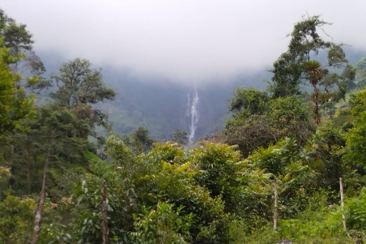 Excursion to La Plata waterfall in Ibagué (490 meters the highest in Tolima)