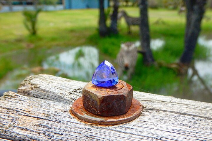 Tanzanite Shopping Experience in Arusha