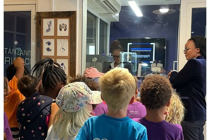 Tanzanite Shopping Experience in Arusha