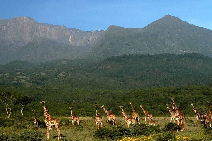 Walking Safari, Canoe & Game Drive – Arusha National Park