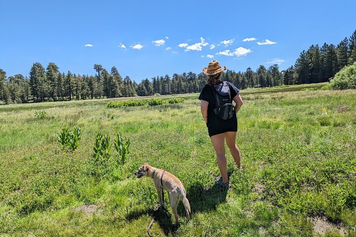 Big Bear Jeep off-road tour with Hike to Bluff Lake Reserve