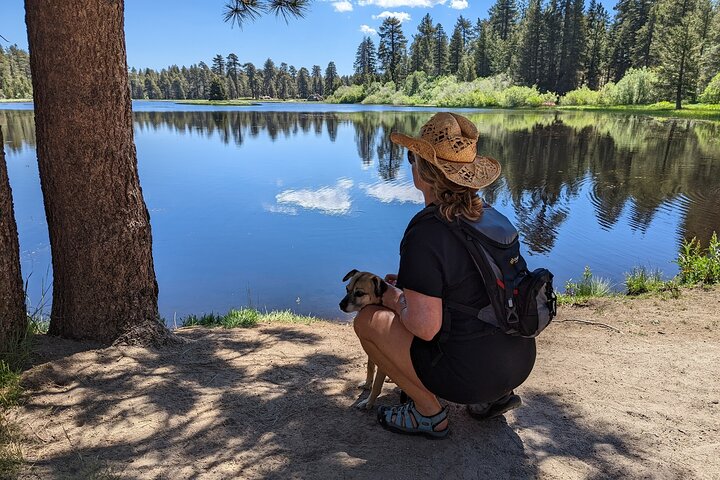 Big Bear Jeep off-road tour with Hike to Bluff Lake Reserve