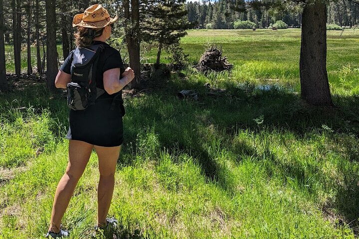 Big Bear Jeep off-road tour with Hike to Bluff Lake Reserve