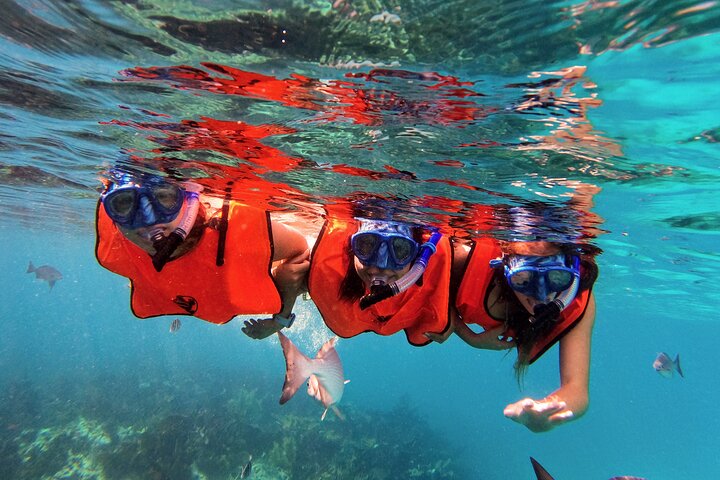 Key Largo Two Reef Snorkel Tour - All Snorkel Equipment Included!
