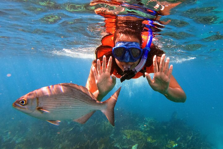 Key Largo Two Reef Snorkel Tour - All Snorkel Equipment Included!