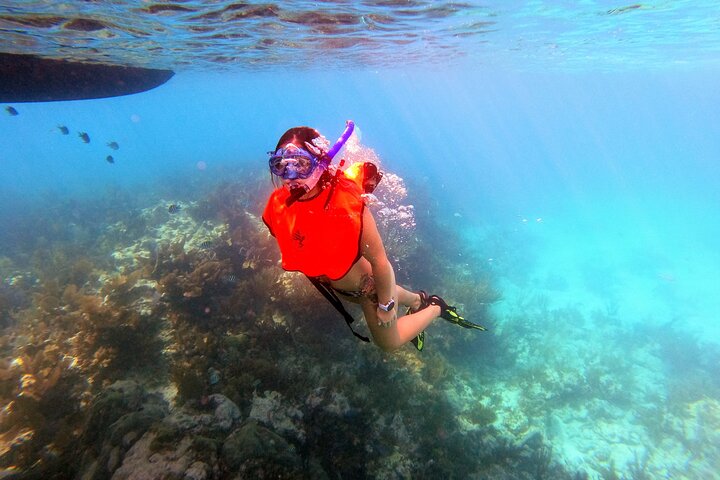 Key Largo Two Reef Snorkel Tour - All Snorkel Equipment Included!