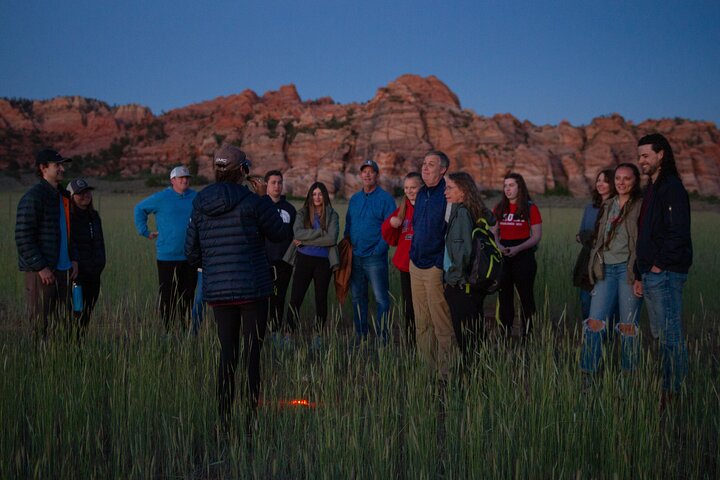 Stargazing in Zion National Park's International Dark Sky