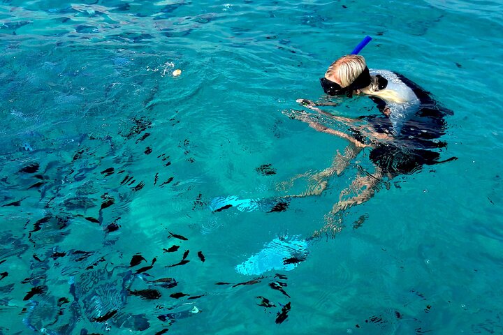Boat tour to explore the Marine Protected Area of Tavolara