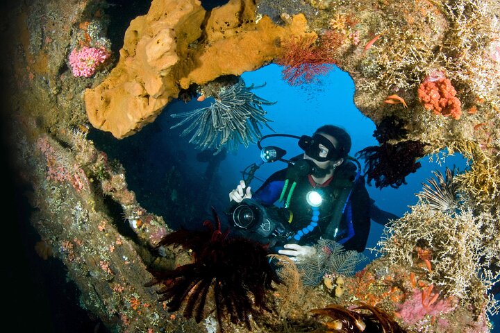 PADI Open water Course in Tulamben - Get certified & dive anywhere in the world