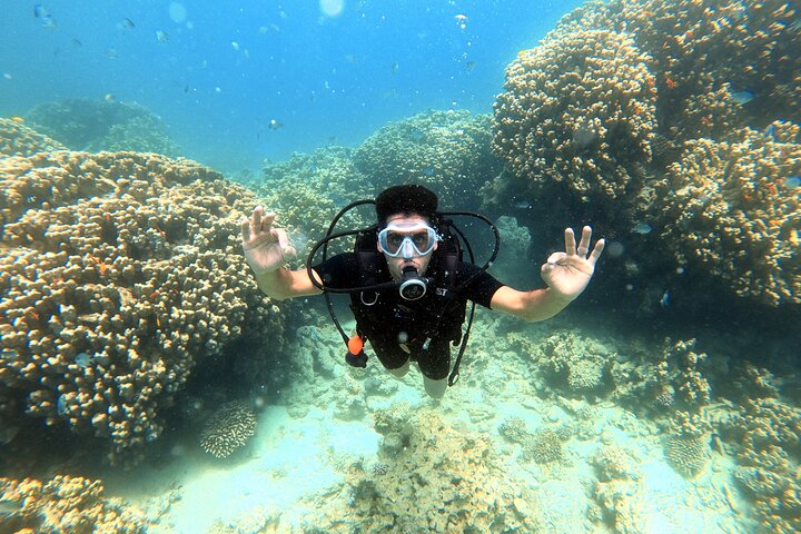 Private Diving Experience in The Heart of Red Sea in Aqaba