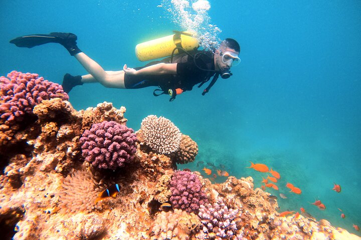Private Diving Experience in The Heart of Red Sea in Aqaba