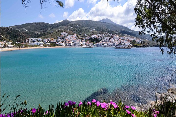 Andros Port to Batsi Private Transfer