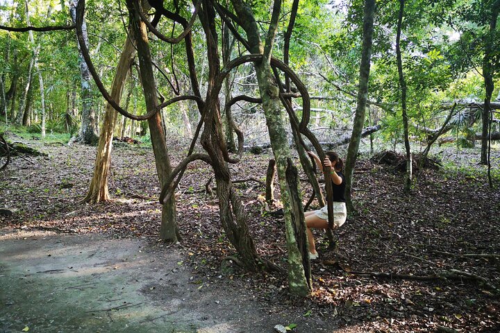 Yaxha Archaeological Focus Day Tour with Monkeys Spotting