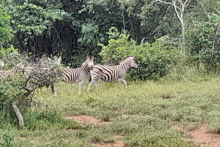 Kissama National Park Safari