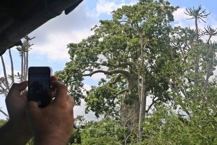 Kissama National Park Safari