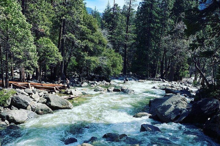 Semi Private Yosemite Valley Tour with Hotel Pick Up and Lunch
