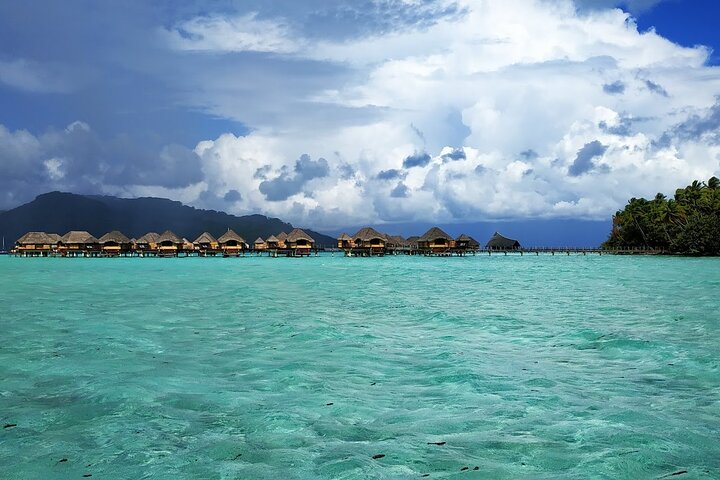 1/2 day Tahaa coral garden - departure Raiatea / ideal for cruise passengers