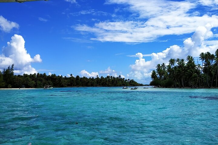 1/2 day Tahaa coral garden - departure Raiatea / ideal for cruise passengers