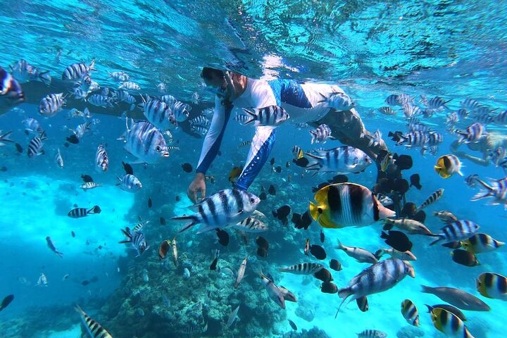 1/2 day Tahaa coral garden - departure Raiatea / ideal for cruise passengers