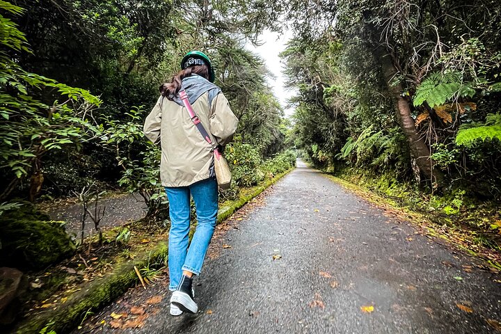 Poás Volcano and Coffee Tour with Tasting and La Paz Falls