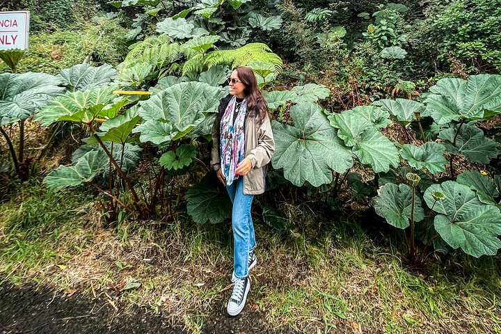 Poás Volcano and Coffee Tour with Tasting and La Paz Falls