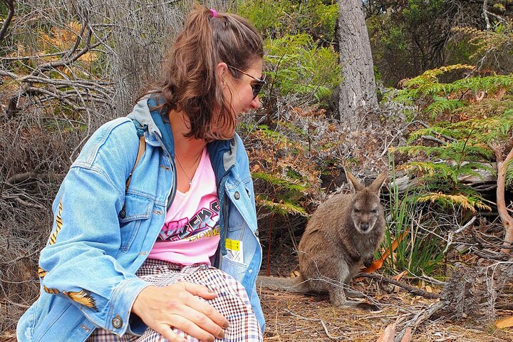 Wineglass Bay & Freycinet NP Full Day Tour from Hobart via Richmond Village