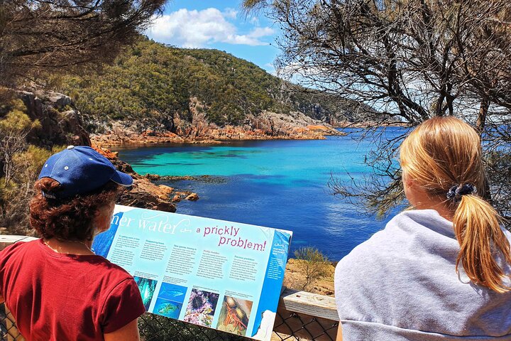 Wineglass Bay & Freycinet NP Full Day Tour from Hobart via Richmond Village