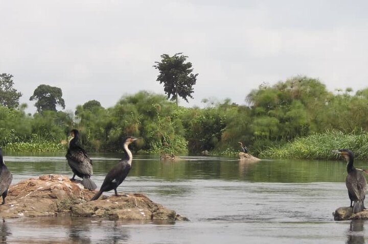 The Best 1Day Jinja Tour & source of the Nile River Experience