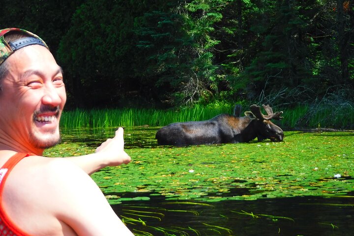 Algonquin Park 3-Day Deluxe Camping & Canoeing Adventure