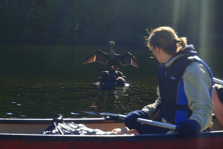 Algonquin Park 3-Day Deluxe Camping & Canoeing Adventure