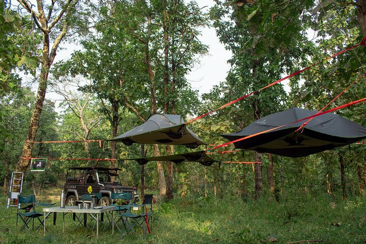 Hang in Nature in India