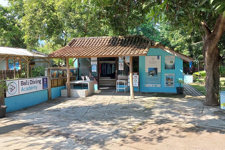 Menjangan island snorkeling full day boat trip