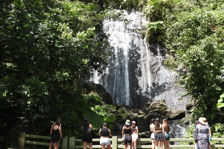 El Yunque National Forest and Luquillo Beach Tour