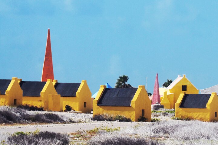 Luc’s Private Group Bonaire Open Bus Tour