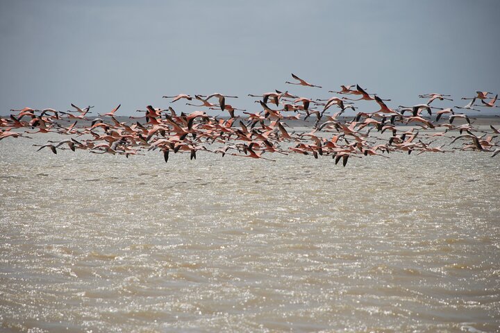 7 Days 6 Nights Alta Guajira Photographic Route Tour with Pick up