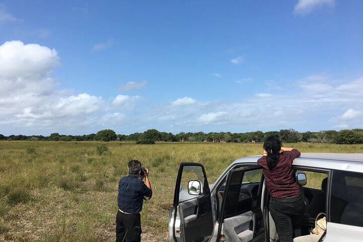 Maputo National Park (Maputo Special Reserve) Full-day Tour