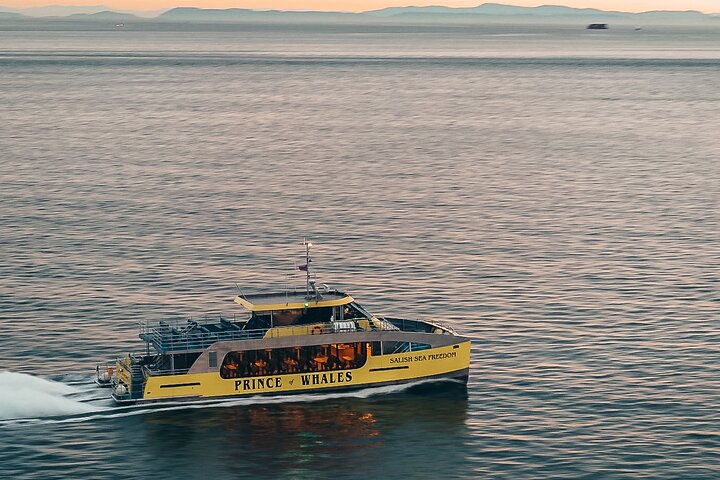Vancouver Half-Day Whale Watching Adventure with Free Photos