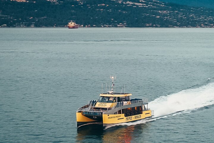 Vancouver Half-Day Whale Watching Adventure with Free Photos