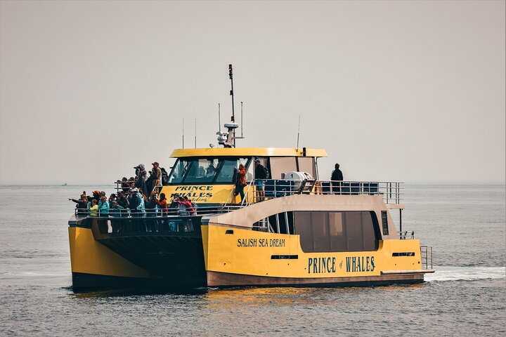Vancouver Half-Day Whale Watching Adventure with Free Photos