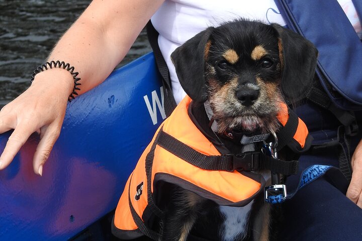 Kilkenny Boat Trip