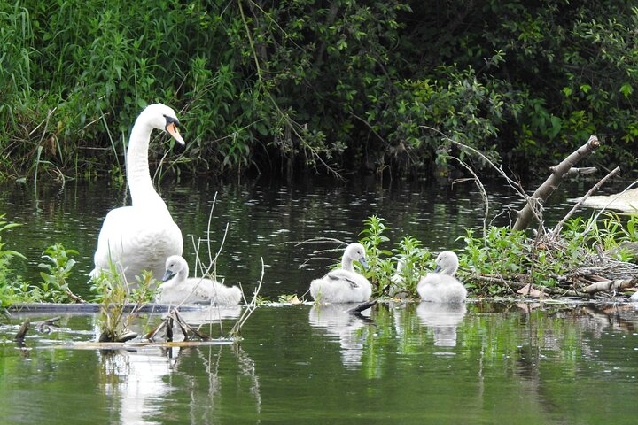 Kilkenny Boat Trip